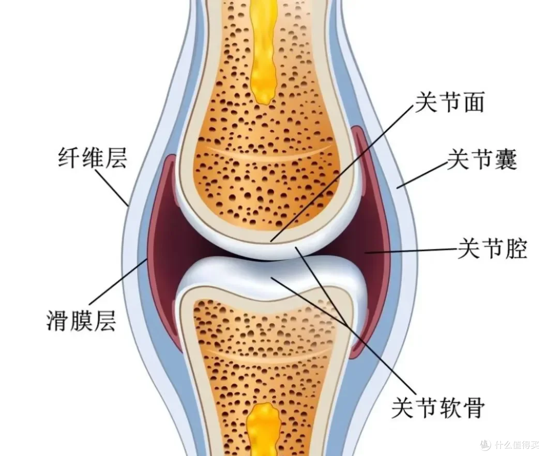 膝盖咔咔响?是正常现象还是健康警报?康复师教你3招自救