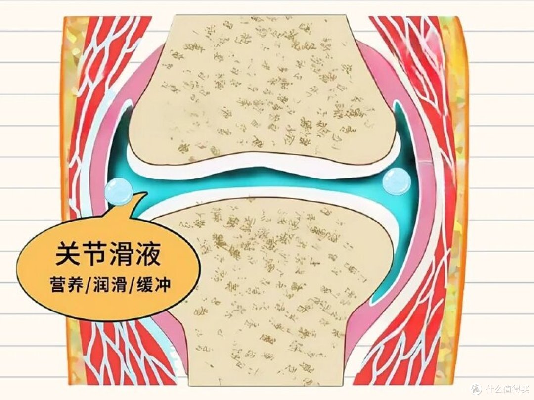 膝盖咔咔响?是正常现象还是健康警报?康复师教你3招自救