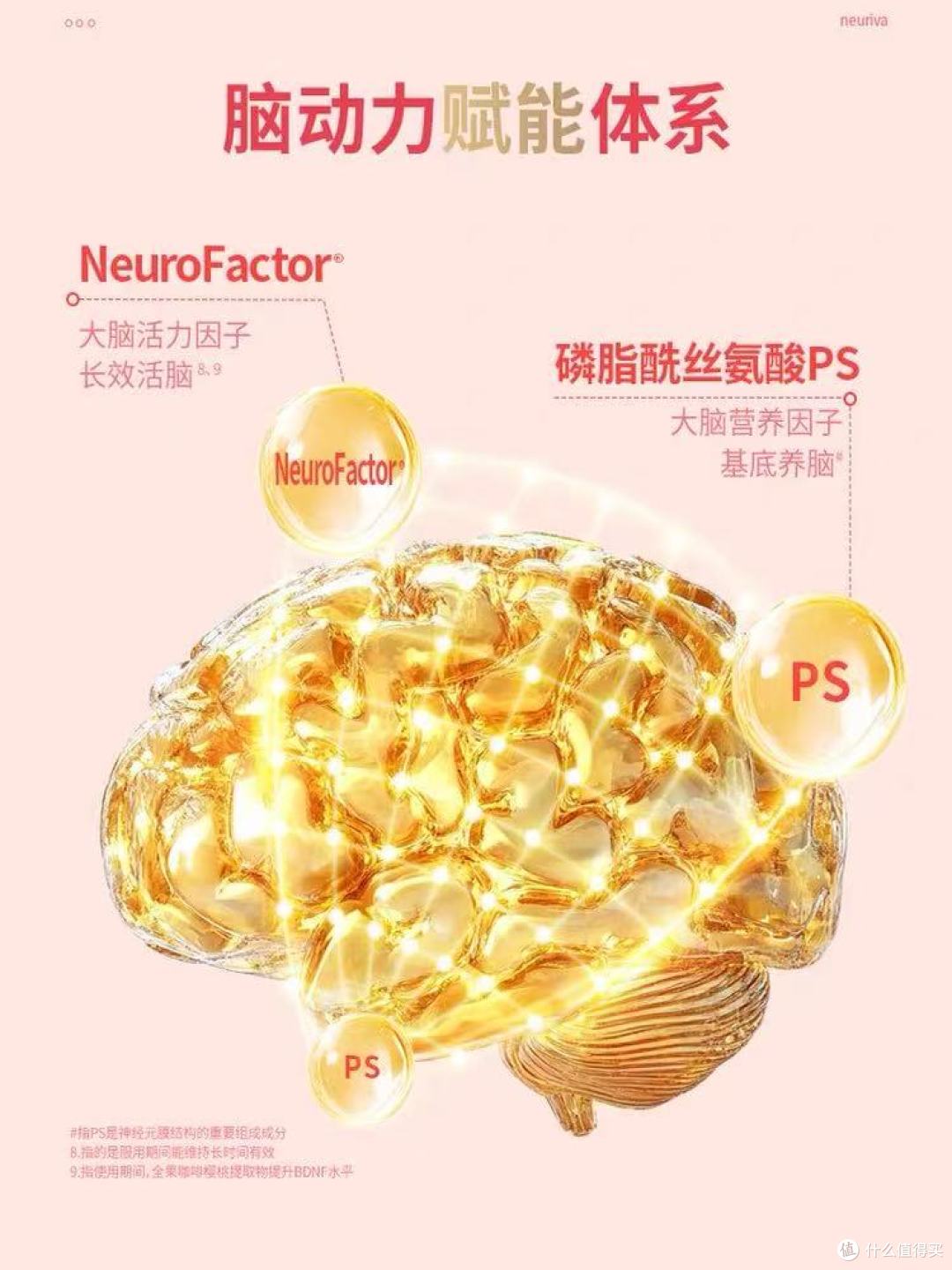 Neuriva脑动力纽睿华:给大脑“充电”,解锁高效人生密码