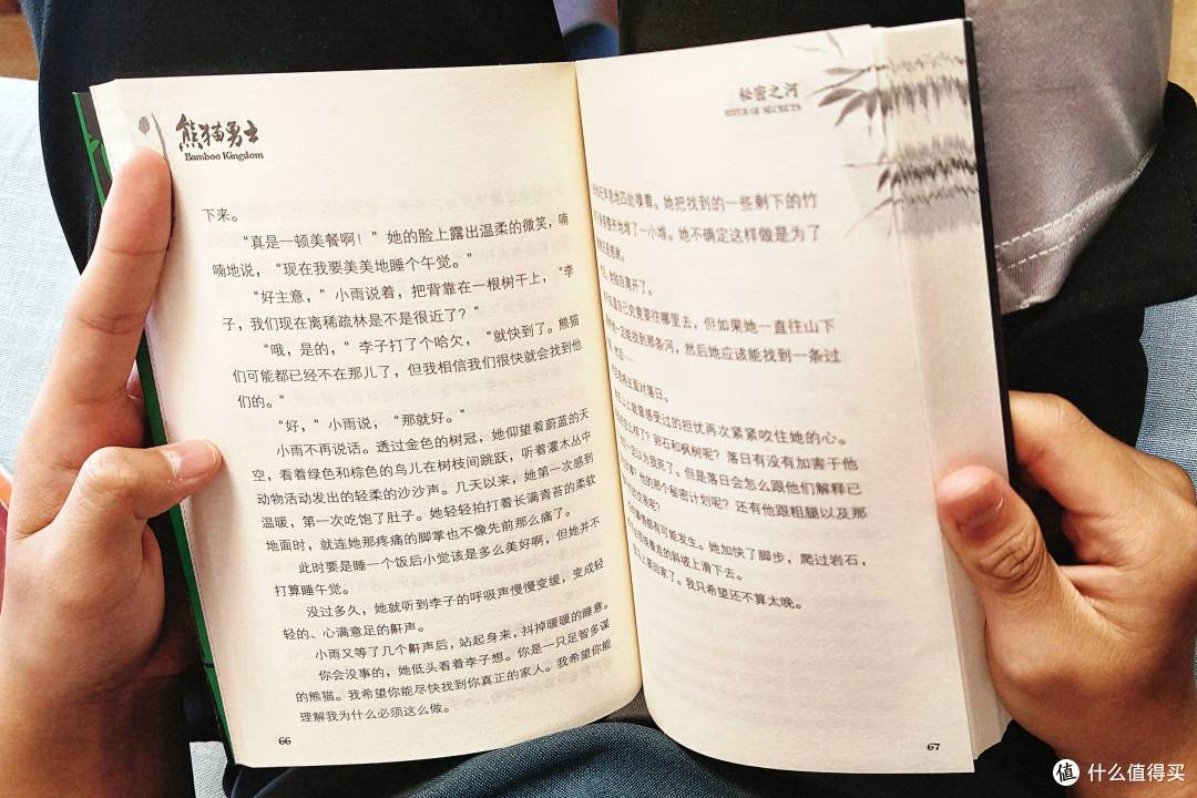 别人孩子追手机,我家娃追熊猫,《熊猫勇士》点燃他的阅读狂热