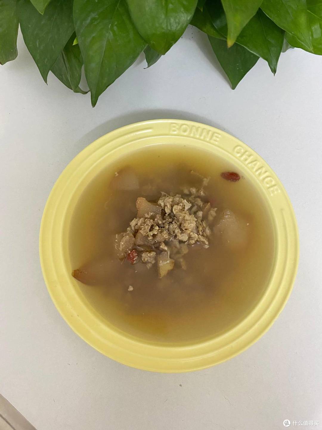 自制猫饭比猫粮好吗?用宠物多功能料理机做出来的自制猫饭更安全
