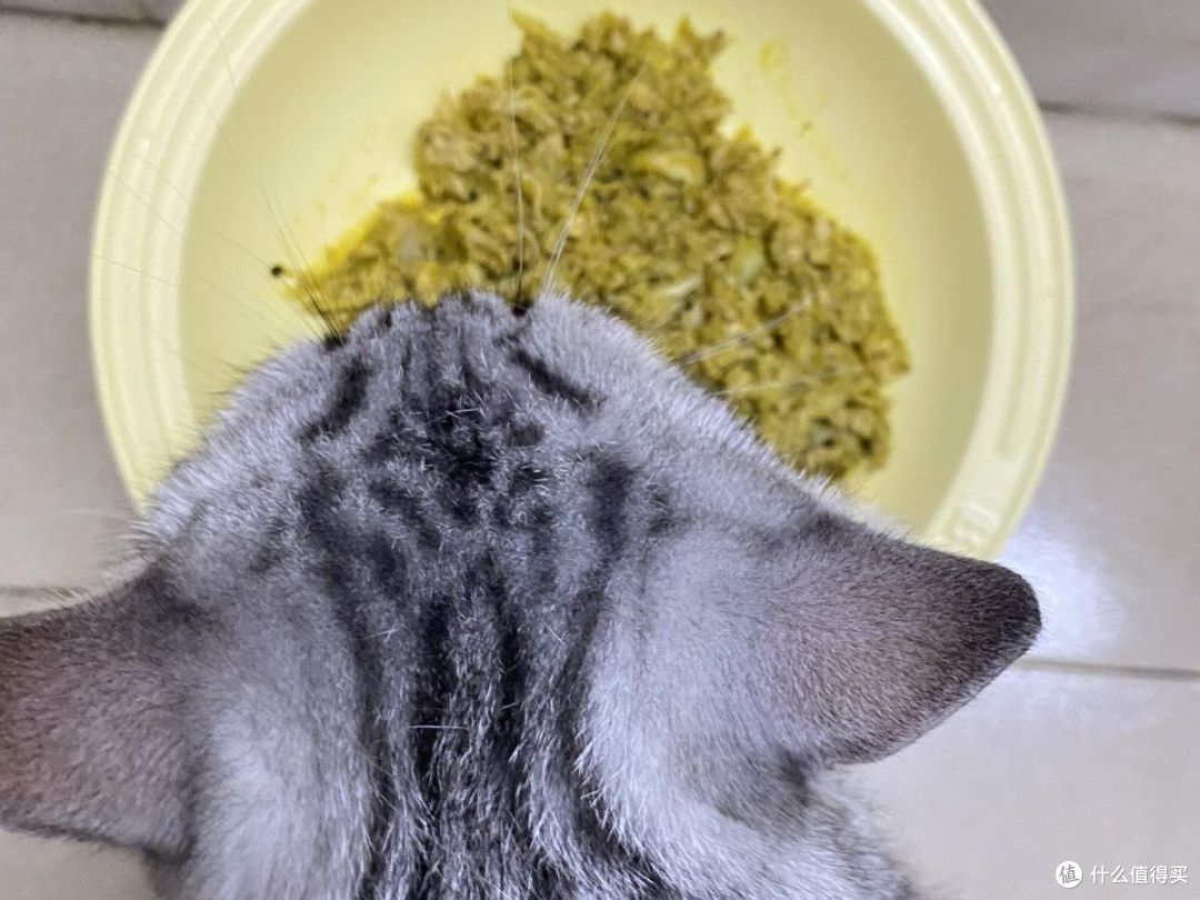 自制猫饭太复杂?铲屎官推荐容易做的营养餐:高蛋白自制猫饭食谱