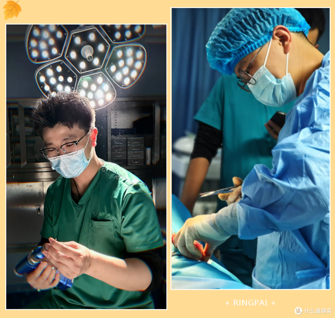 瑞派宠物医生:在纤细骨骼间修复生命裂痕,重筑力量支撑