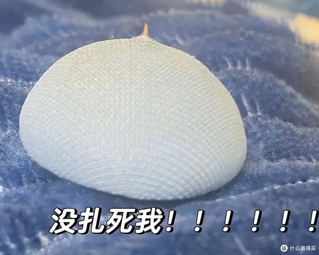 生活中家里有这5件物品,赶紧扔掉!都是常见的隐藏版健康刺客!