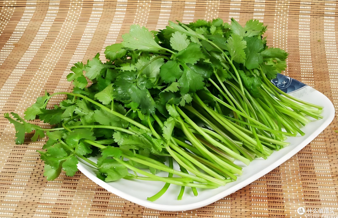 反香菜不是挑食！15%人自带“厌香基因”，老了爱香菜是身体变了