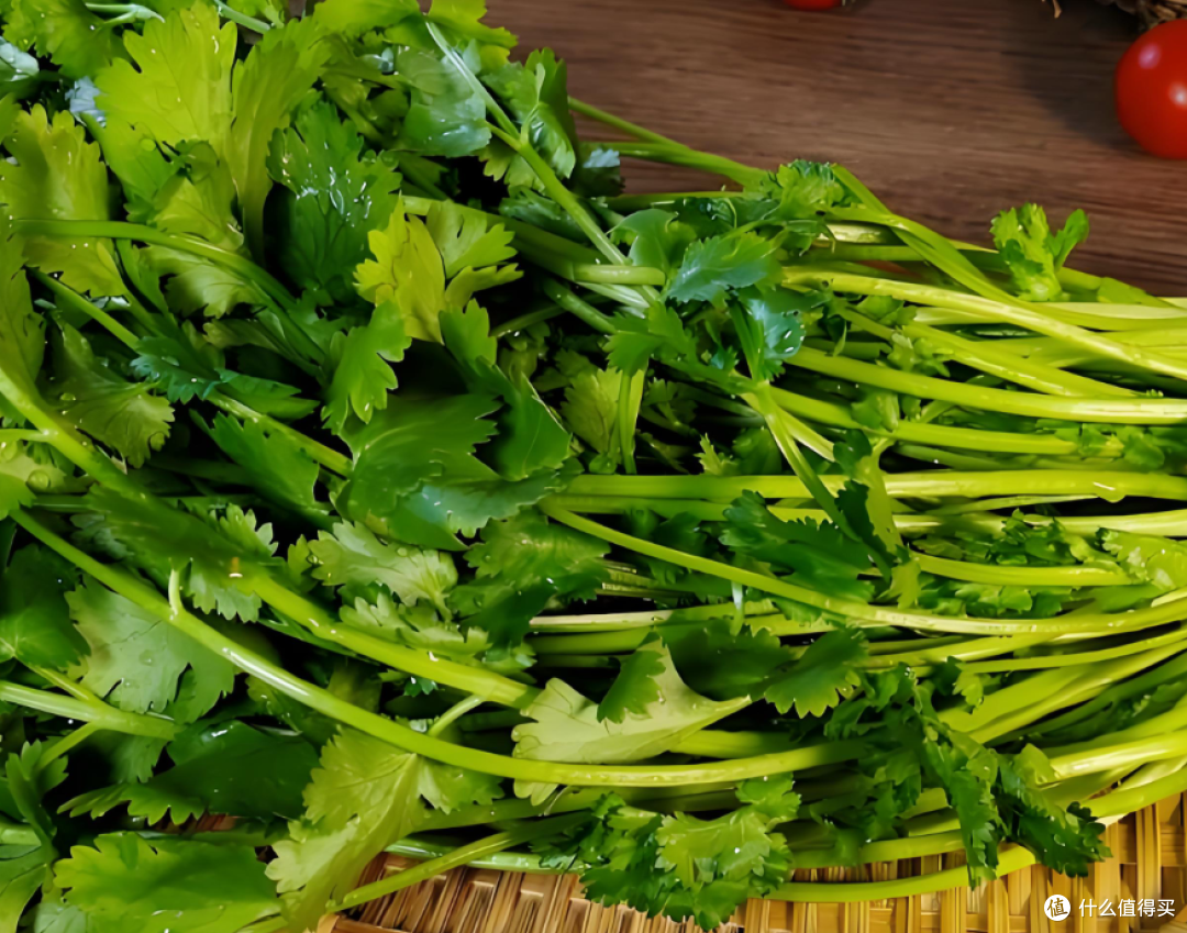 反香菜不是挑食！15%人自带“厌香基因”，老了爱香菜是身体变了