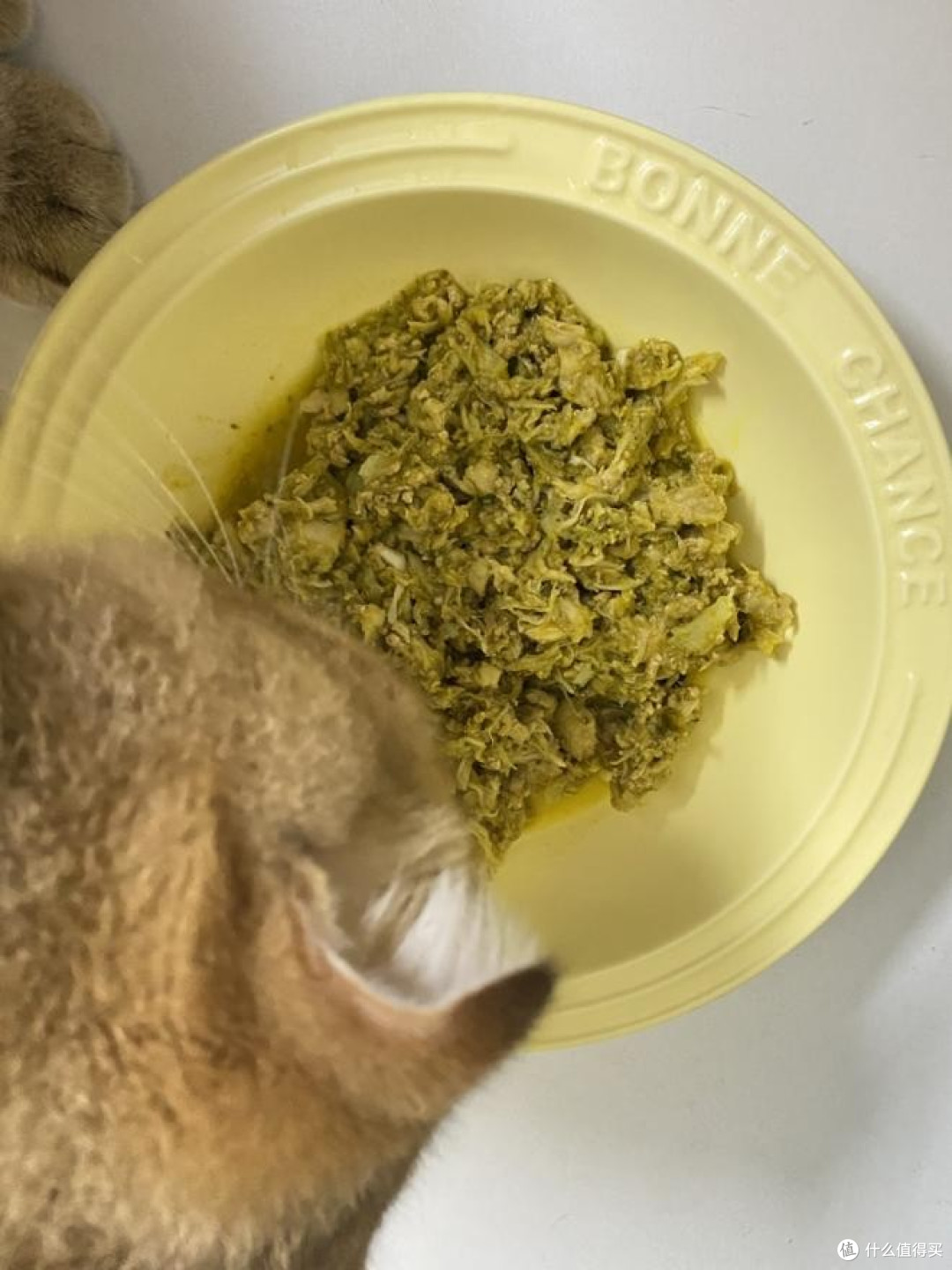 自制猫饭怎么做?懒人自制猫饭教程包学会,附上成猫自制猫饭食谱