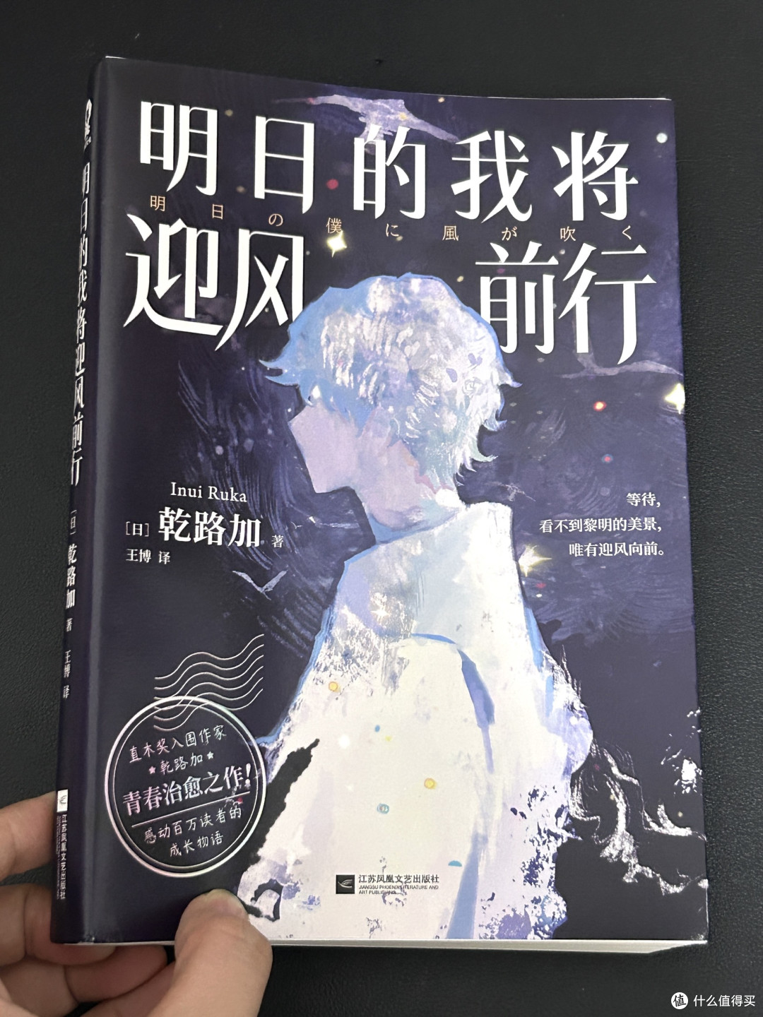 一本治愈人心的小说‼️