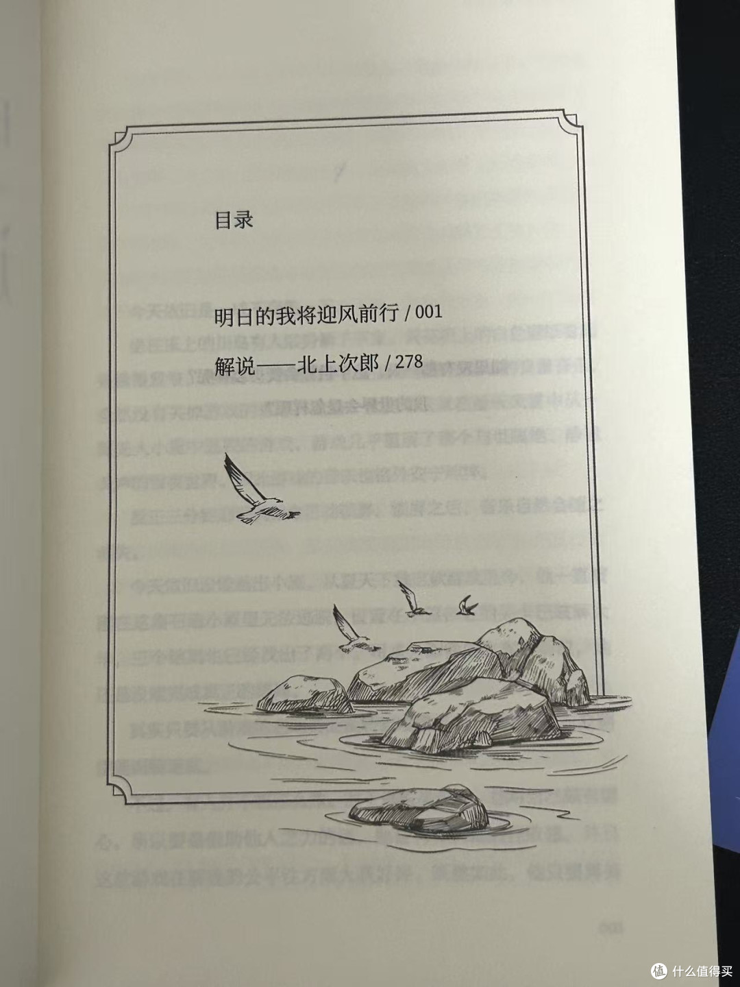 一本治愈人心的小说‼️