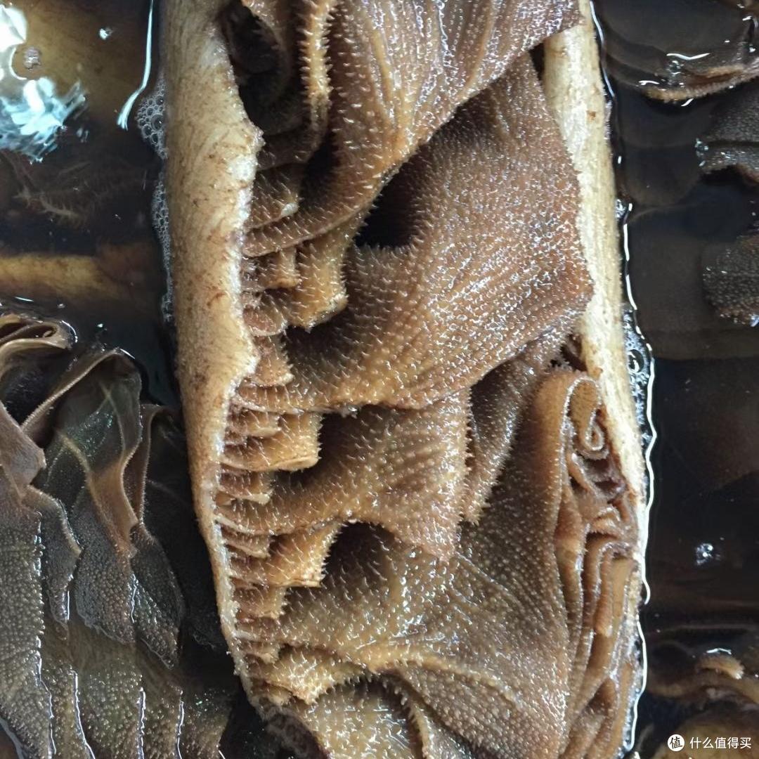 甲醛食物重灾区,这5种劝你少吃少碰!