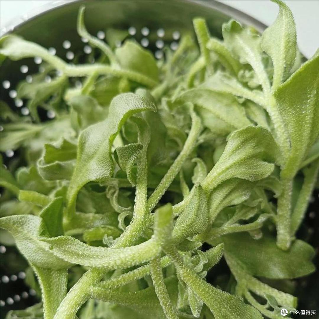 中国10种比较少见的蔬菜,吃过5种以上是行家,看看你吃过哪几种