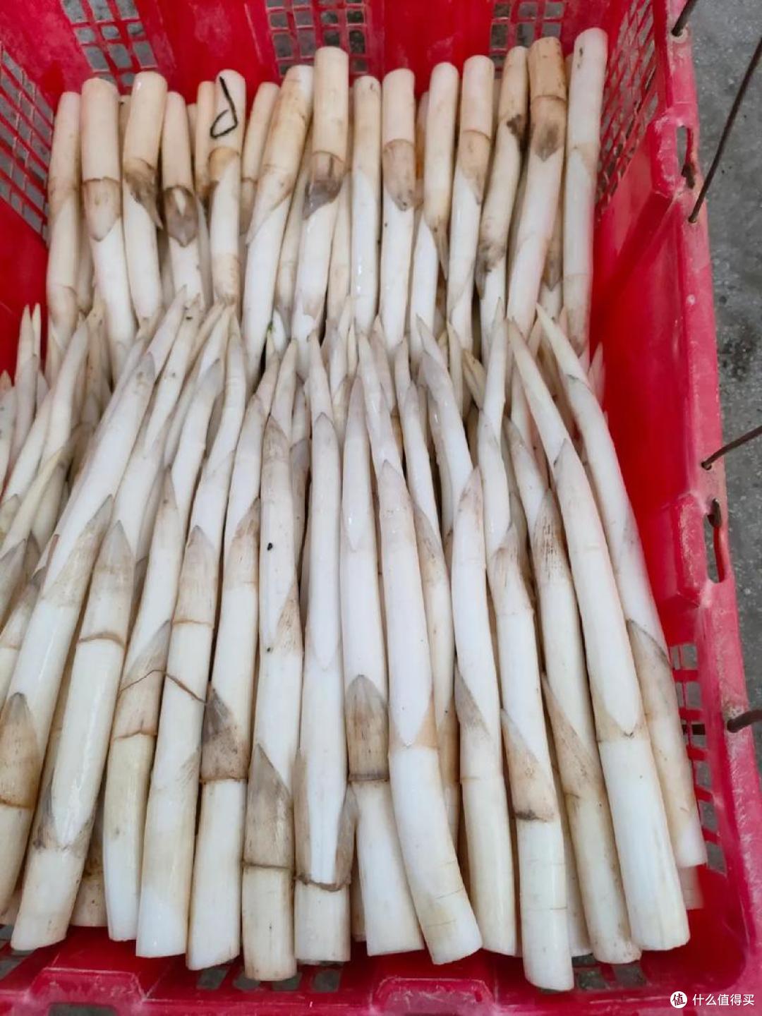 中国10种比较少见的蔬菜,吃过5种以上是行家,看看你吃过哪几种