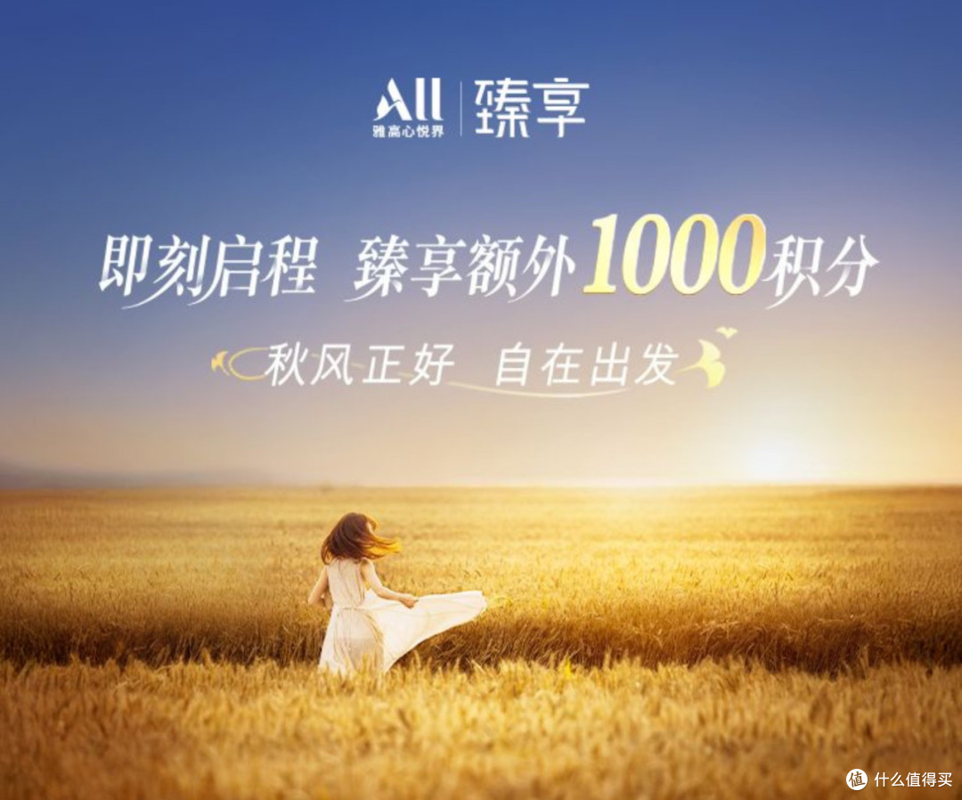 白金保级神器，错过今年真没这价了！