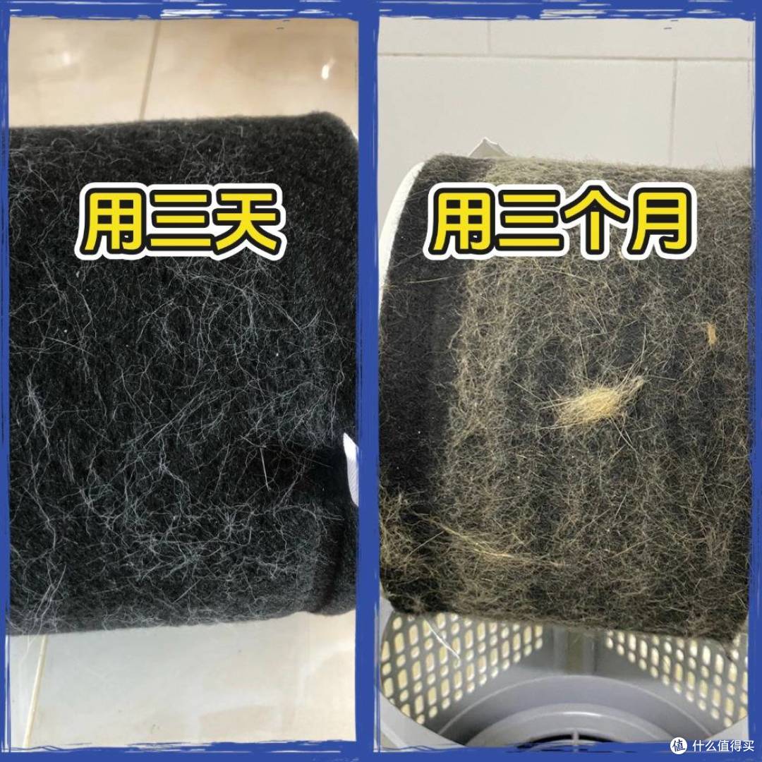 希喂VS范罗士宠物空气净化器哪个牌子好？3个维度测评！