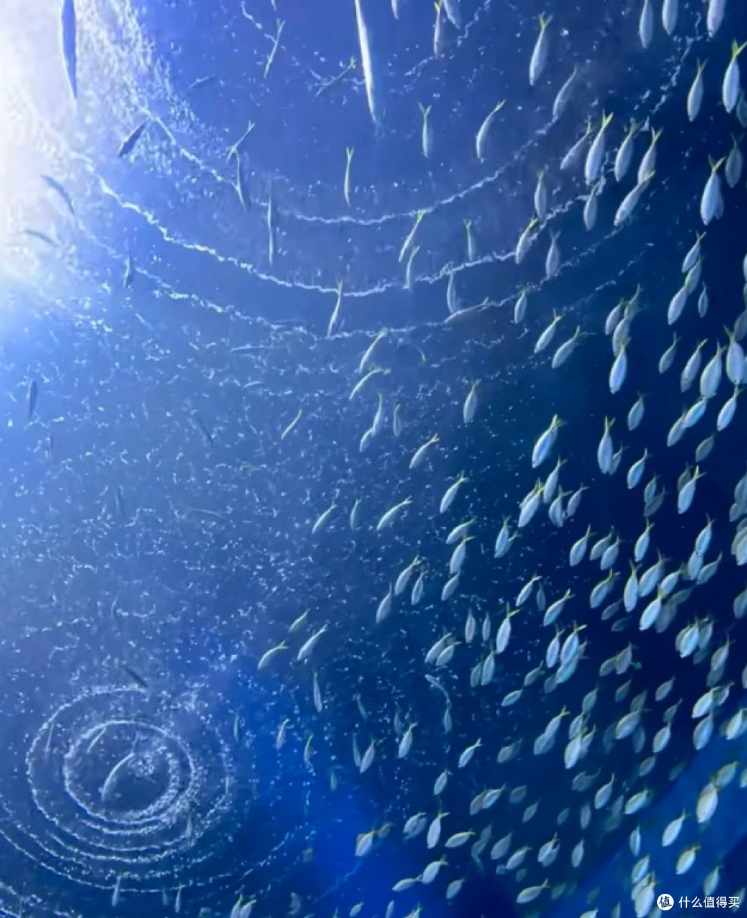 珠海三日游:海滨浪漫与长隆夜宿