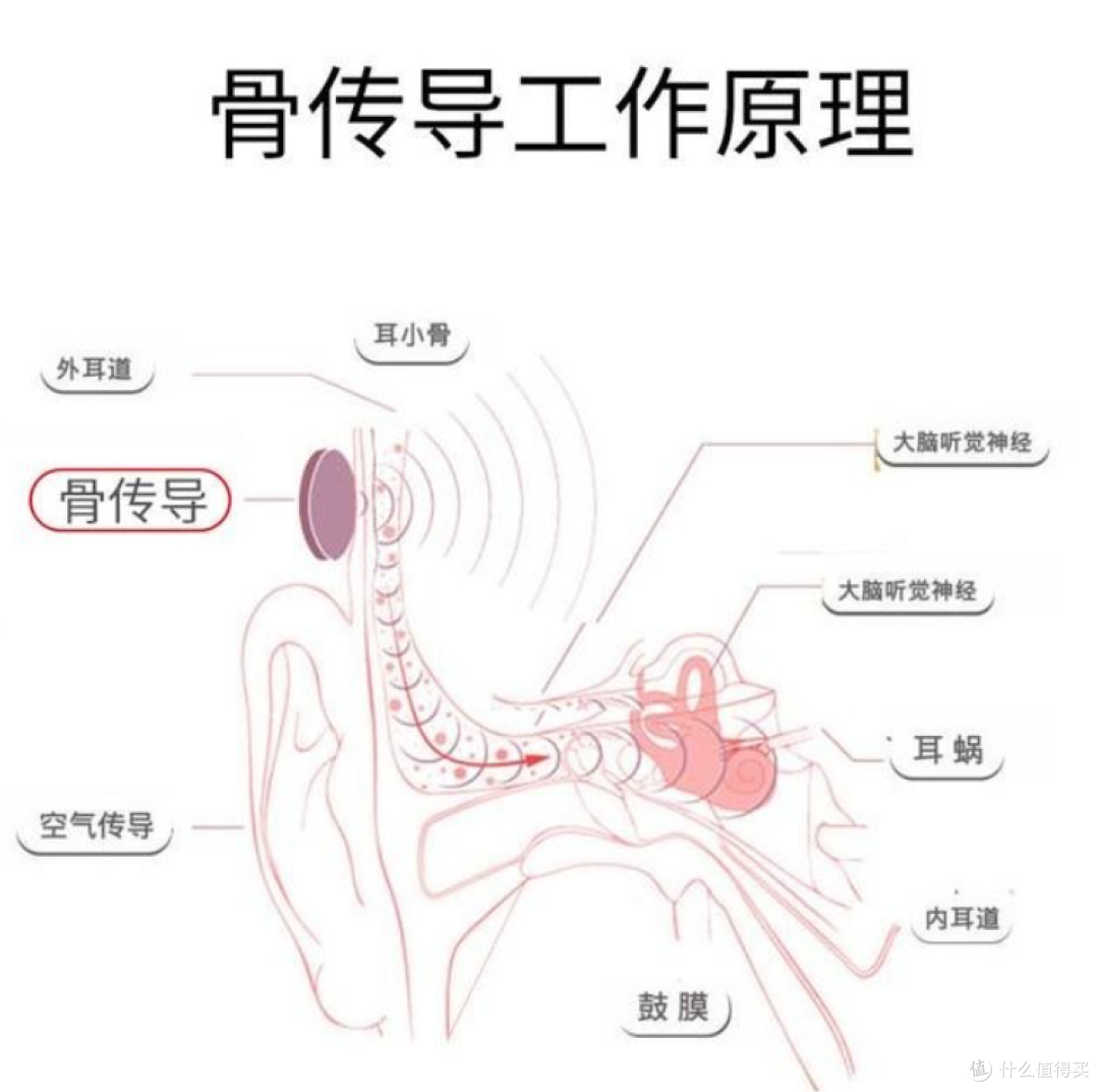 2025年10款100~1000+开放式耳机大盘点,新手小白看这篇就够了!