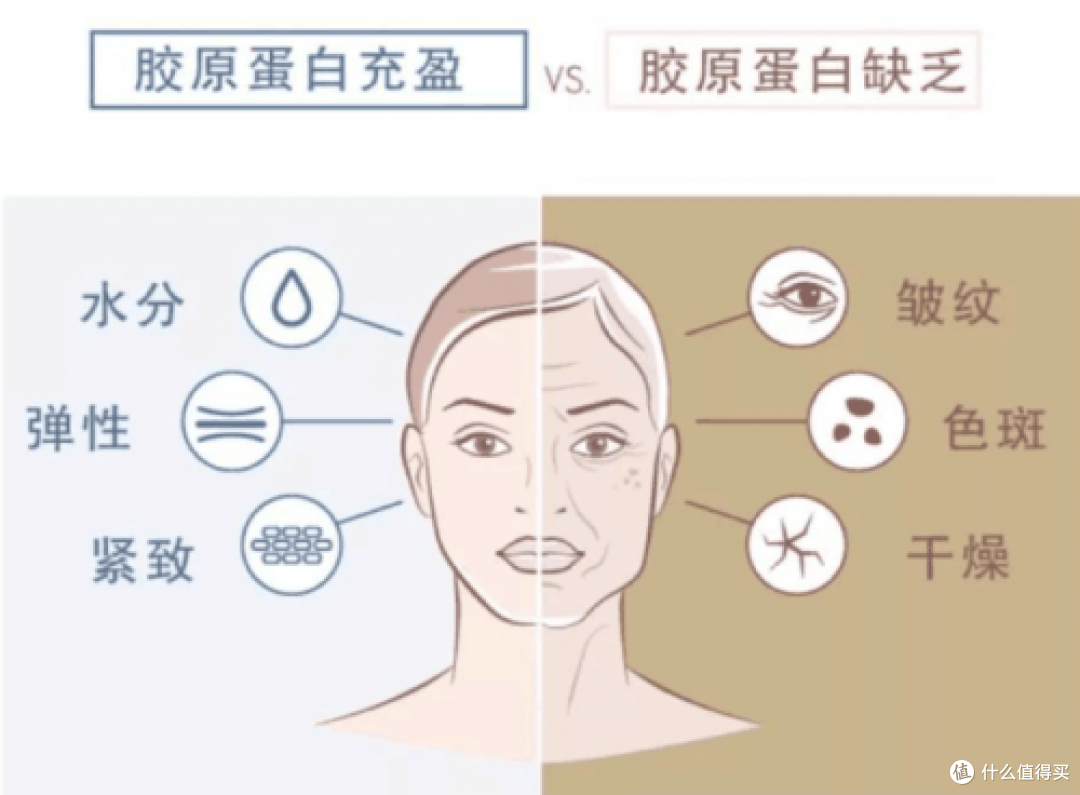权威定调:五个女博士胶原蛋白肽不影响经期,科学原理深度解析