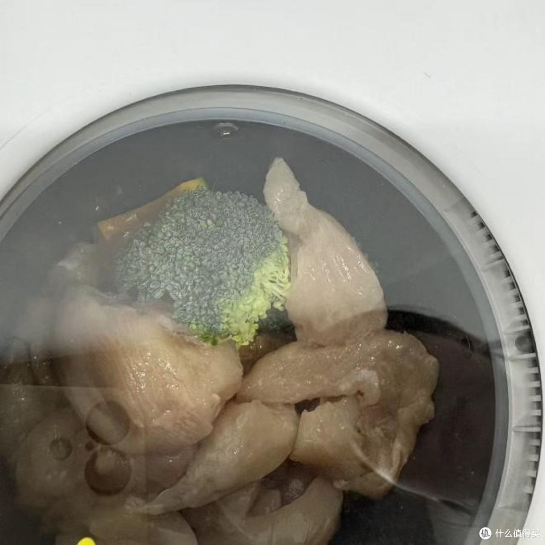如何自制猫粮?这款自制猫粮机高效做出便宜又营养的自制猫饭