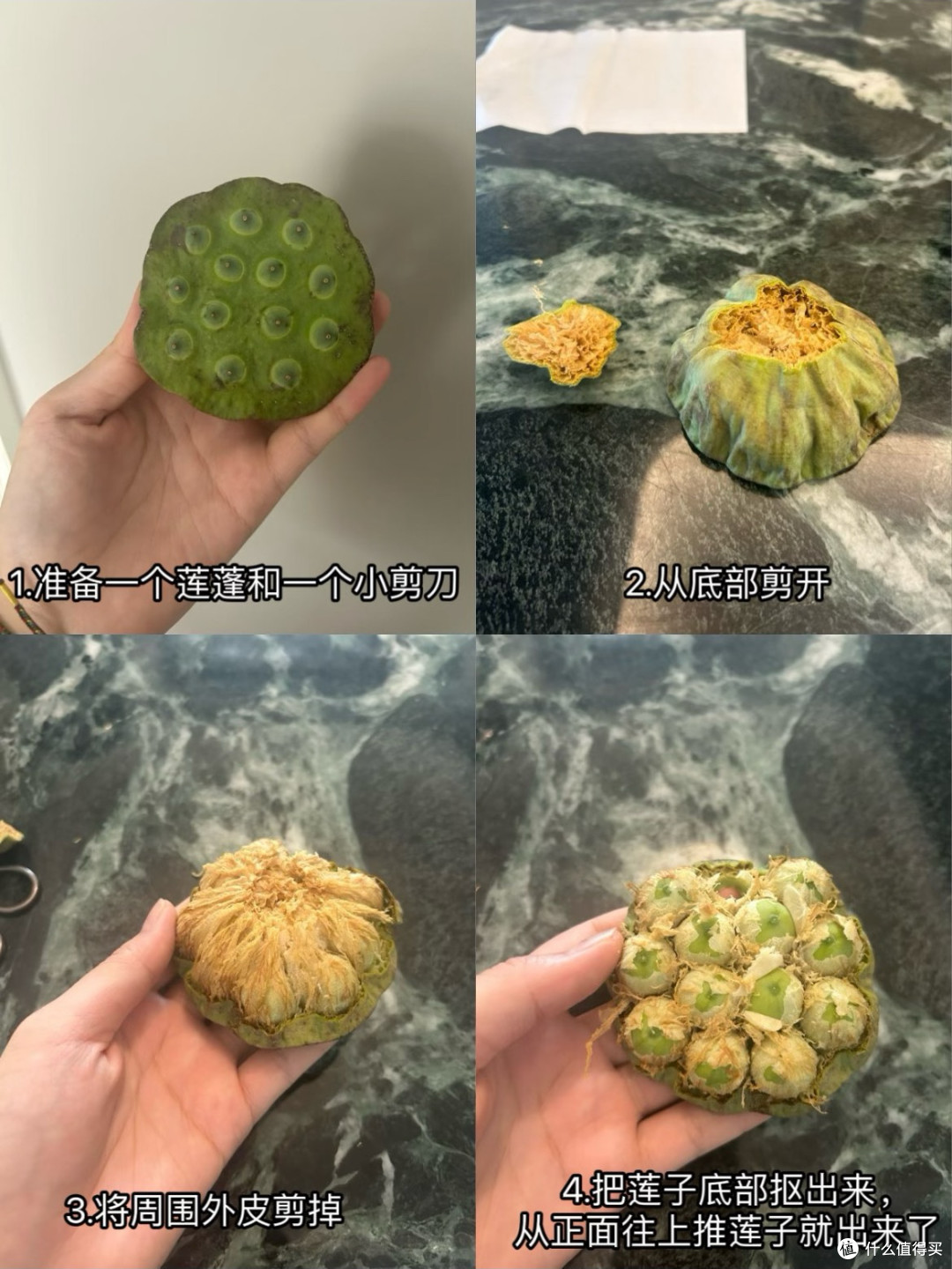 从莲蓬到书签:一段缓慢而专注的手作之旅