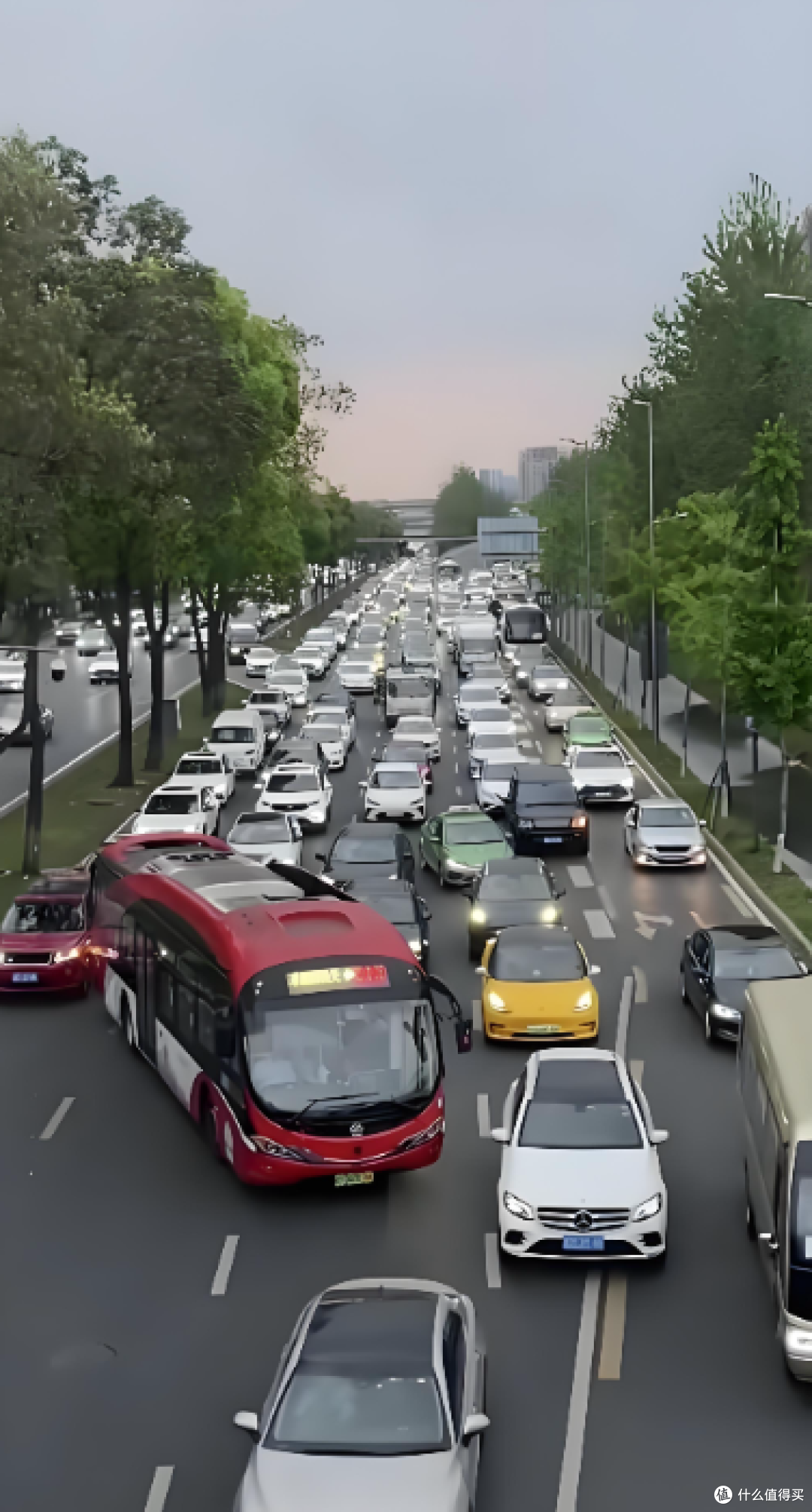 成都堵车堵到熄火,公交道却空到能跑车?真相藏在100元罚款里!