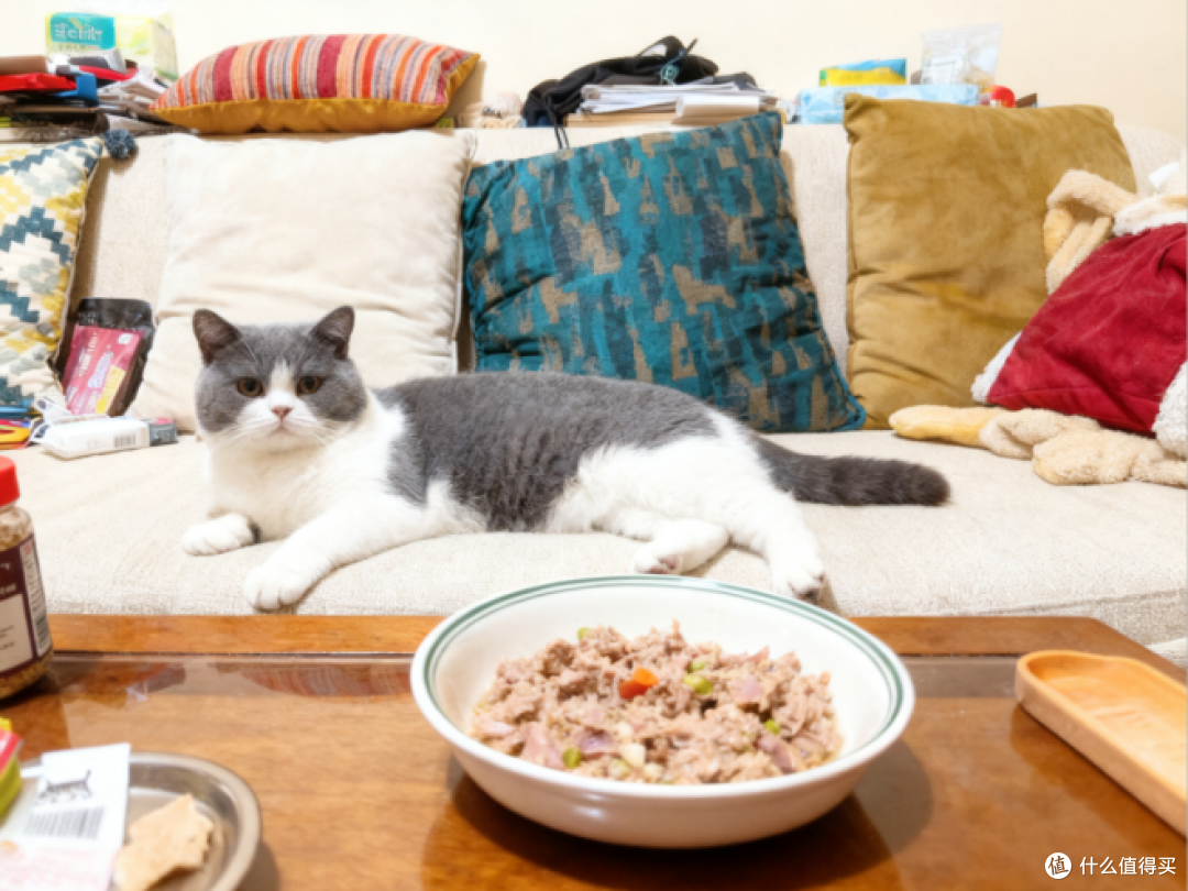 自制猫饭怎么做？有了自制猫饭食谱！只用1分钟教你学会自制猫饭