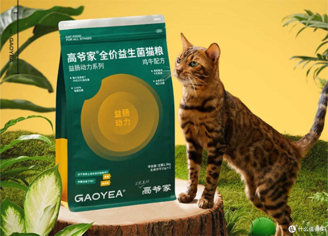 冻干猫粮喂养利弊:猫粮什么牌子好又便宜?十大最好冻干猫粮推荐