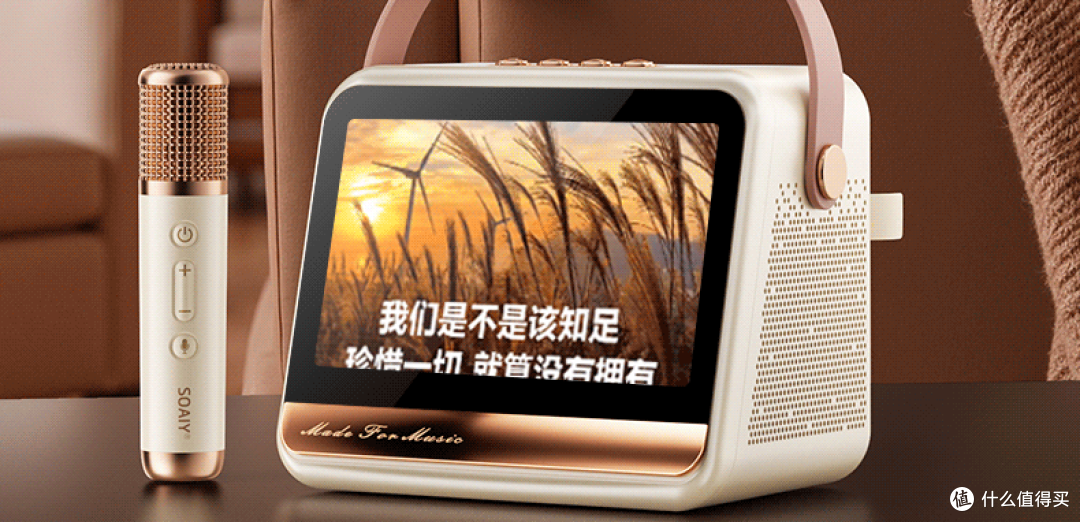 2025年索爱音箱音质怎么样？从硬件配置看选购要点