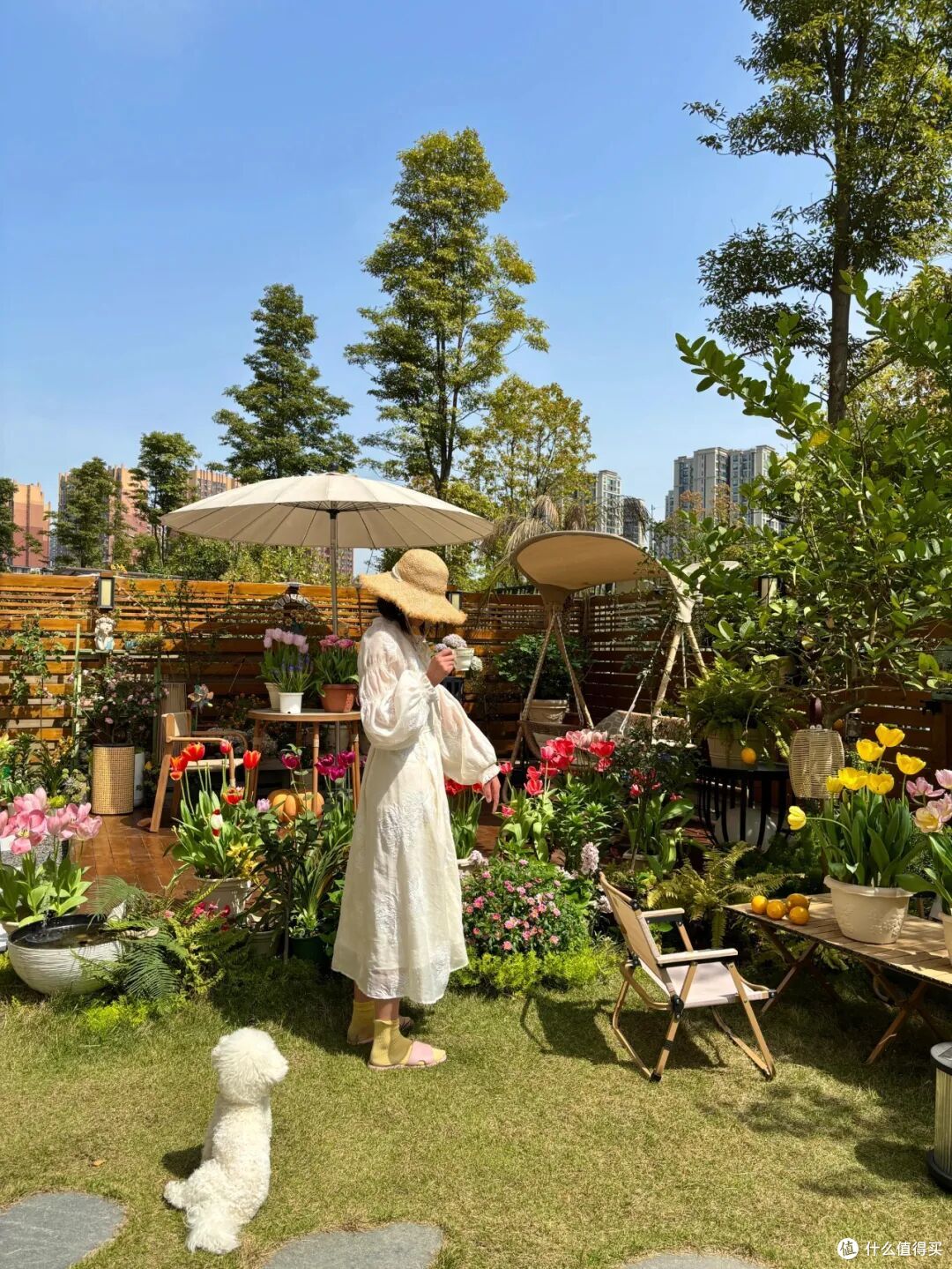 如果再买房,我只选这4个楼层,只有住进去才知道有多香!
