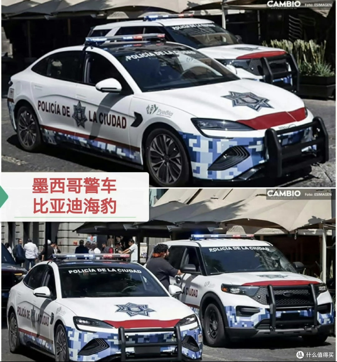 比亚迪还是太全面，喜提海外公务车“新标配”