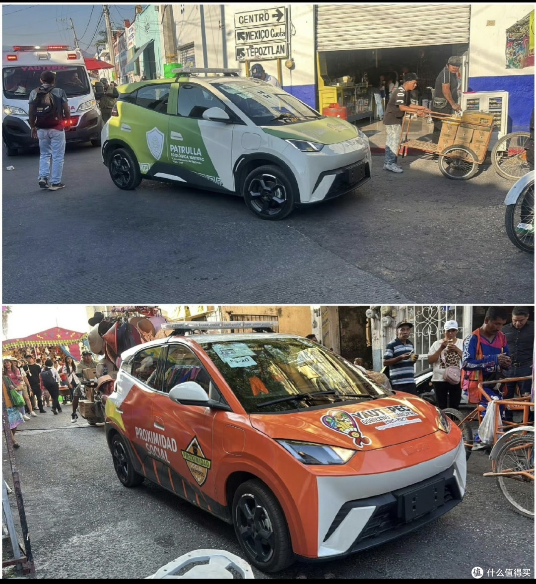 比亚迪还是太全面，喜提海外公务车“新标配”