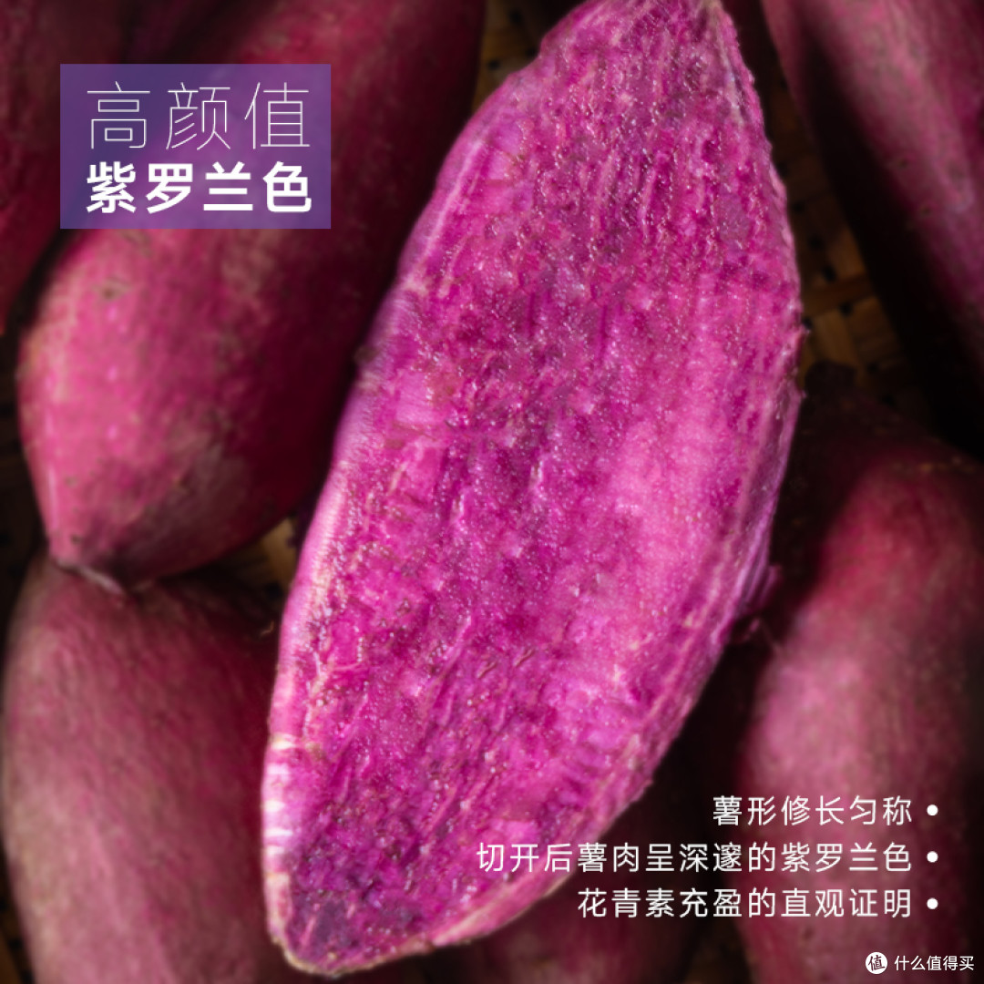 豆逸谷宁夏紫薯尝鲜:小个头,甜度够吗?