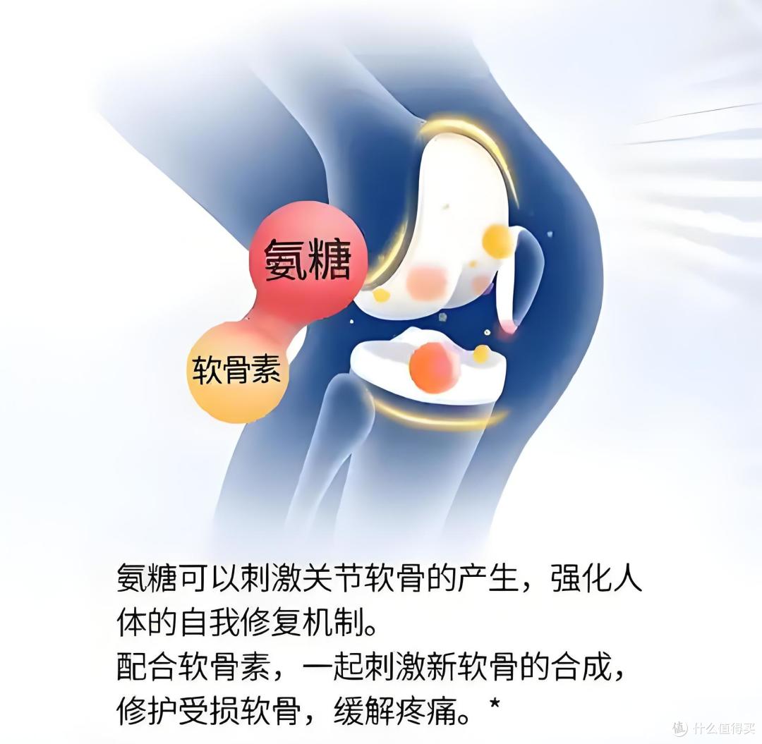 健身后膝盖疼是怎么回事?氨糖软骨素钙片的功效和作用是什么?