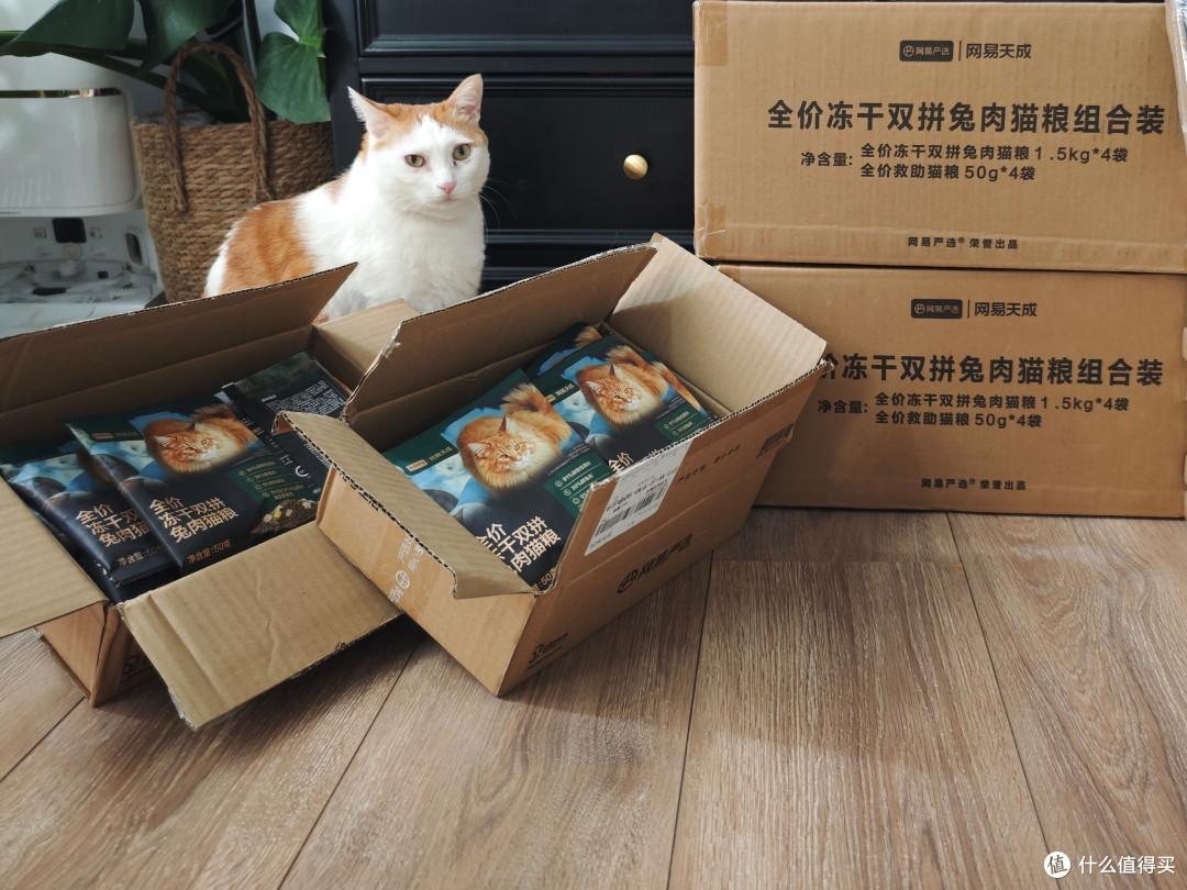 在值得买跟对的人,就能轻松帮猫猫囤了半年的吃喝拉撒