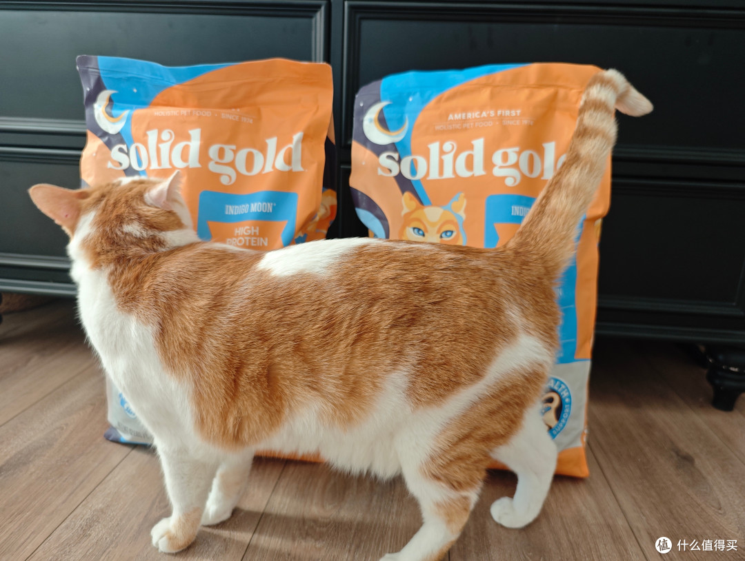 在值得买跟对的人,就能轻松帮猫猫囤了半年的吃喝拉撒