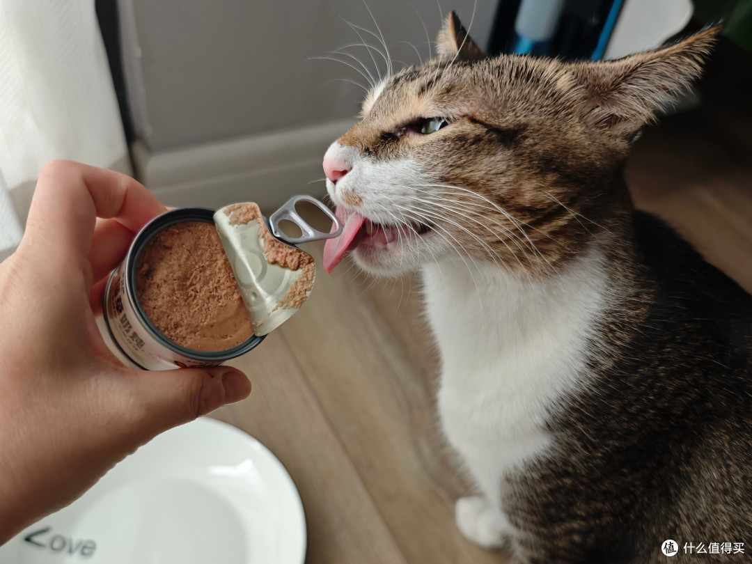 在值得买跟对的人,就能轻松帮猫猫囤了半年的吃喝拉撒