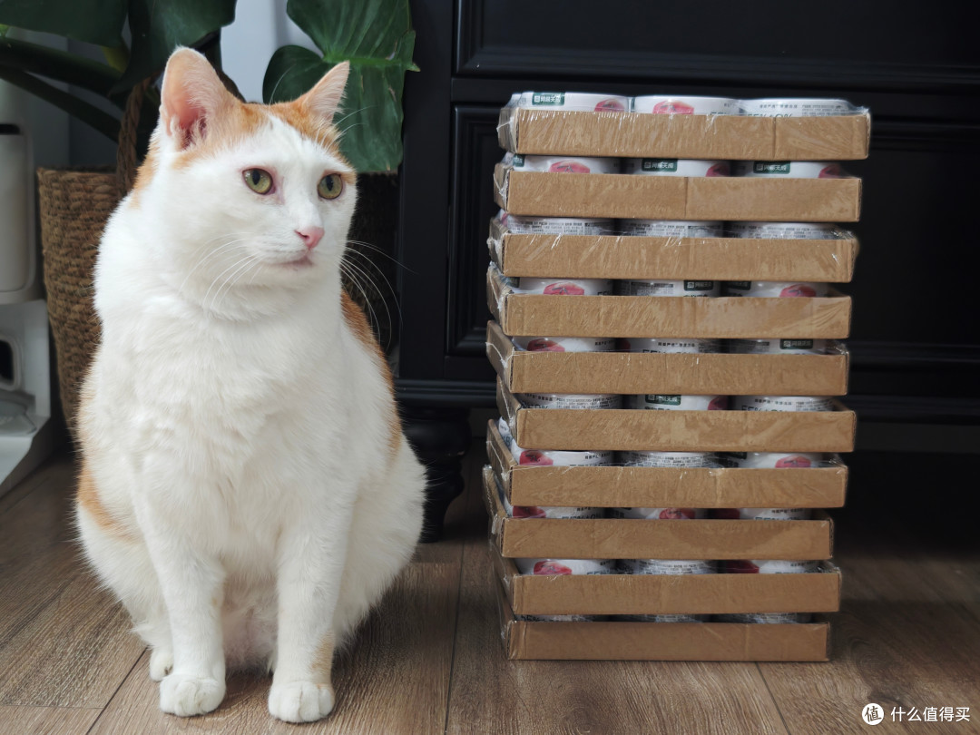 在值得买跟对的人,就能轻松帮猫猫囤了半年的吃喝拉撒