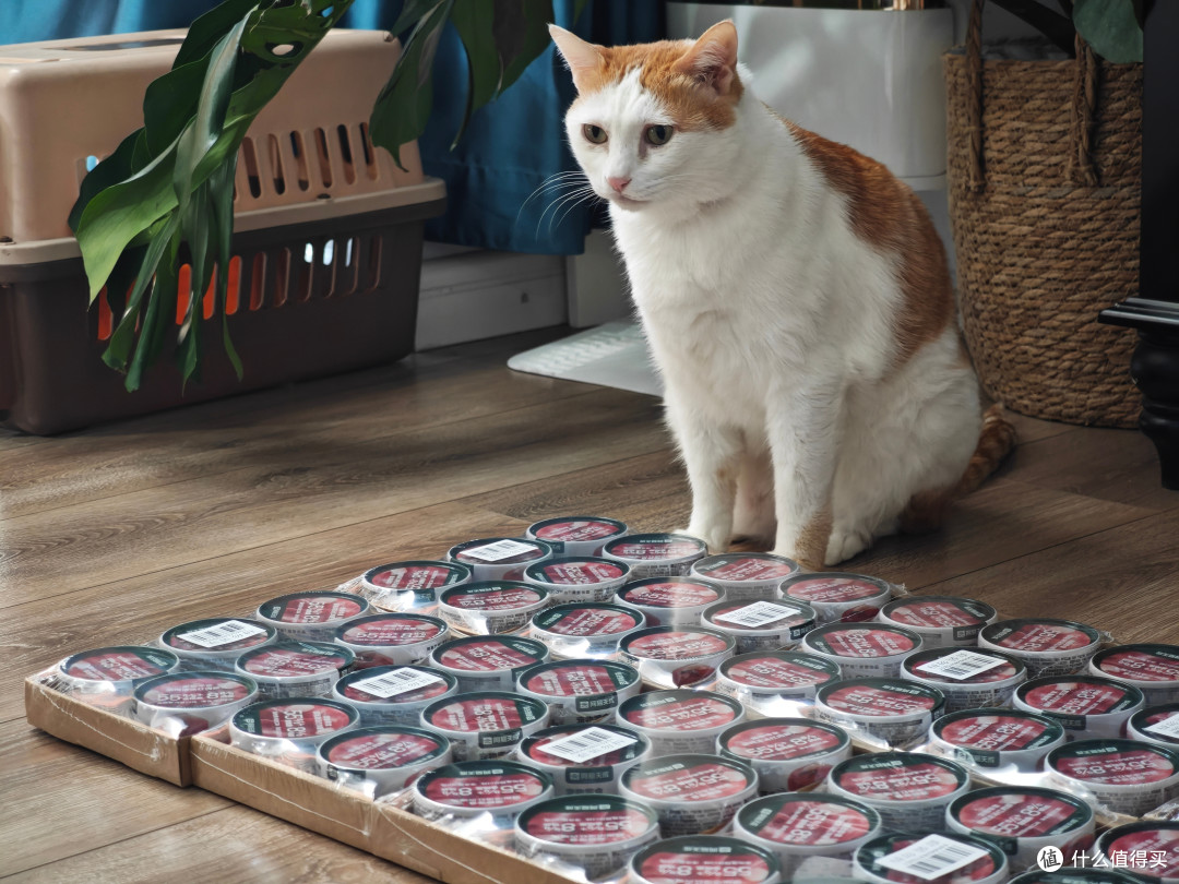 在值得买跟对的人,就能轻松帮猫猫囤了半年的吃喝拉撒