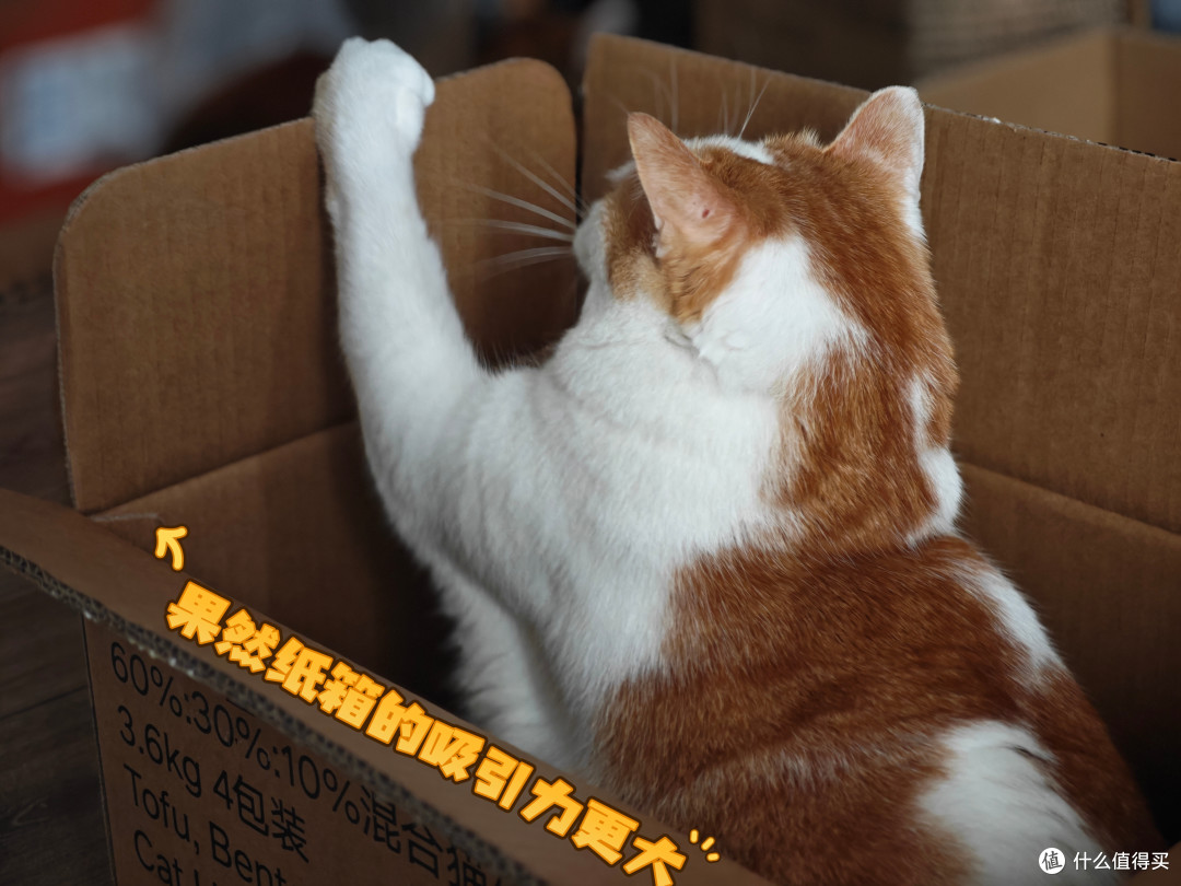 在值得买跟对的人,就能轻松帮猫猫囤了半年的吃喝拉撒