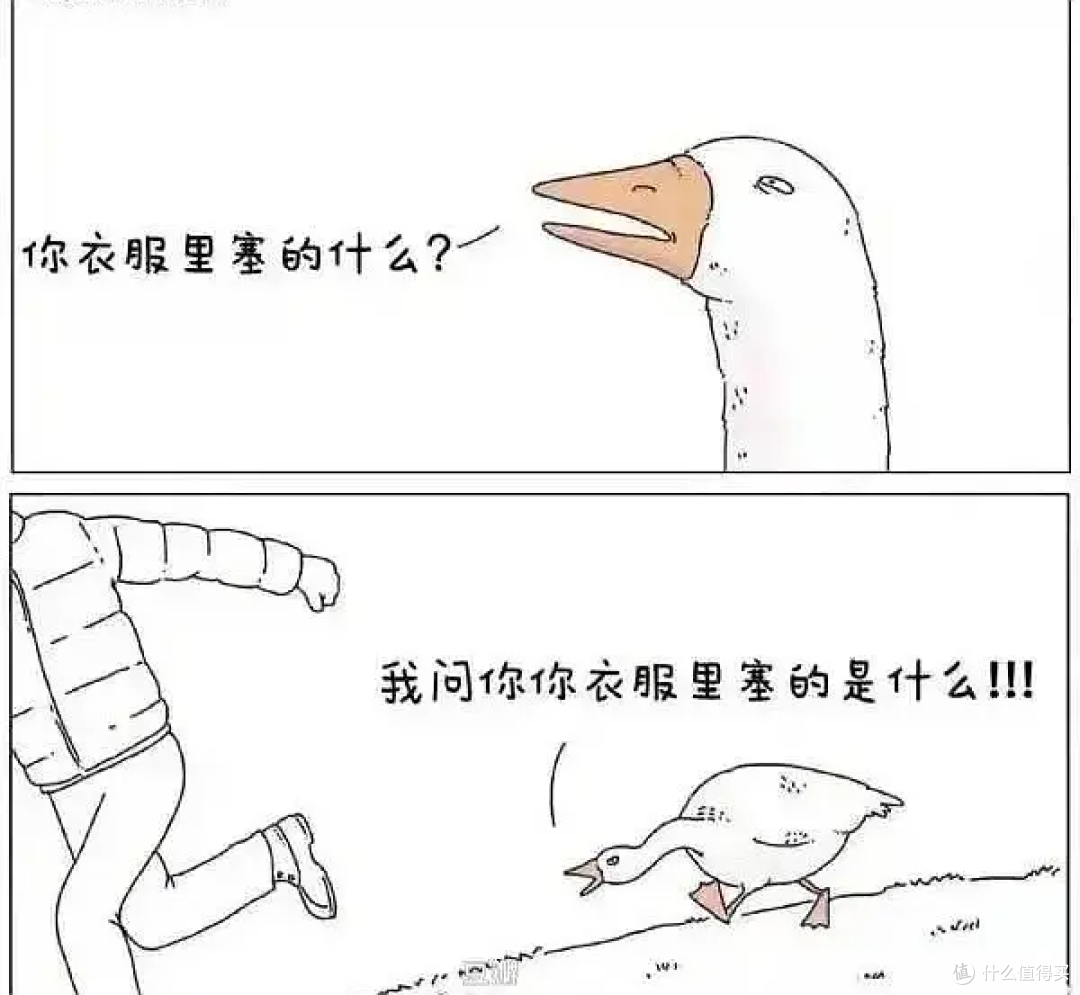 一件“过时货”的反杀:排骨羽绒服逆袭,波司登的高端梦碎了?