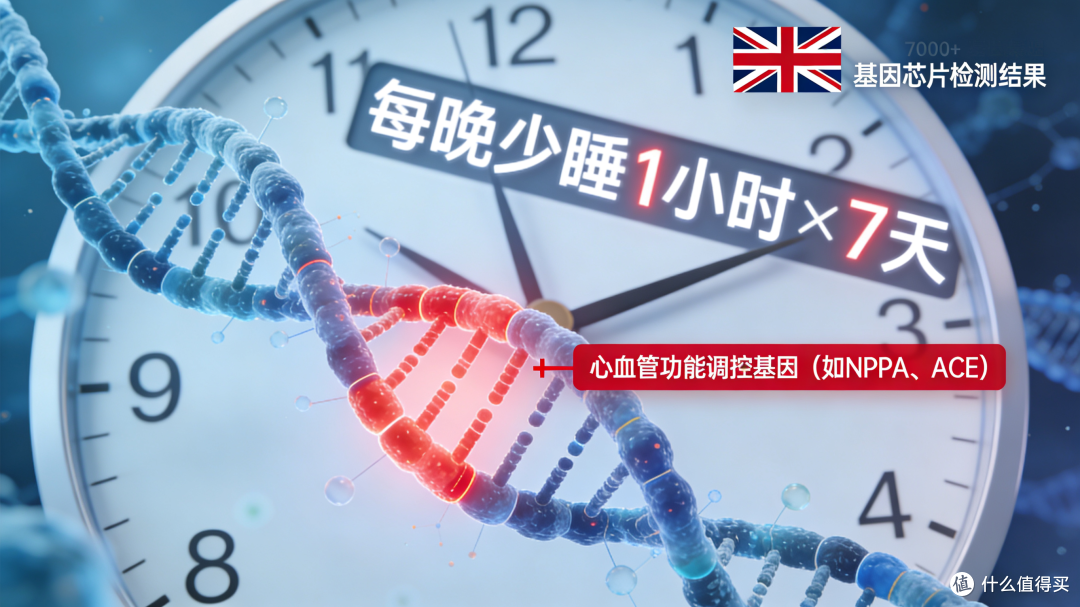 为什么睡不够8小时?你的每个器官都在“无声抗议”!