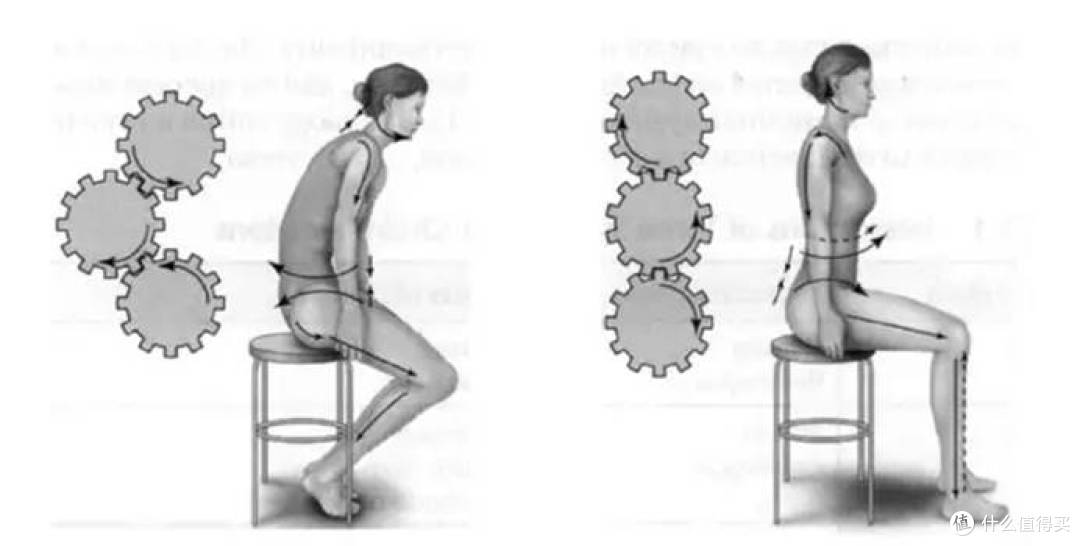 人体工学椅哪个牌子比较好?舒适又实用的人体工学椅排行榜前十
