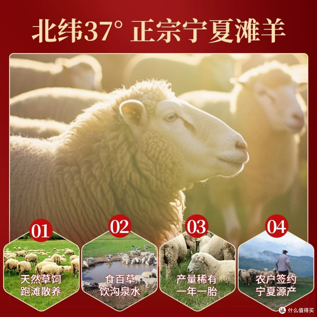 纵品塞上羊 鲜礼贺年丰