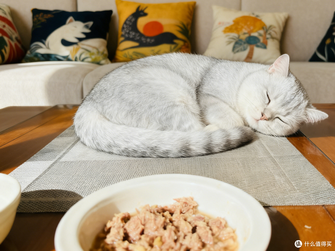 猫咪自制猫饭怎么做?自制狗饭适口性与营养双达标的家庭鲜食做法