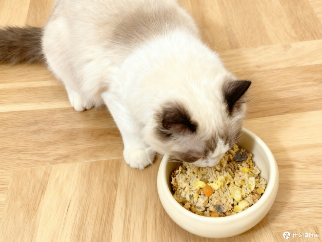 自制猫饭猫不吃怎么办?自制猫饭低敏配方推荐,给毛孩子安排!
