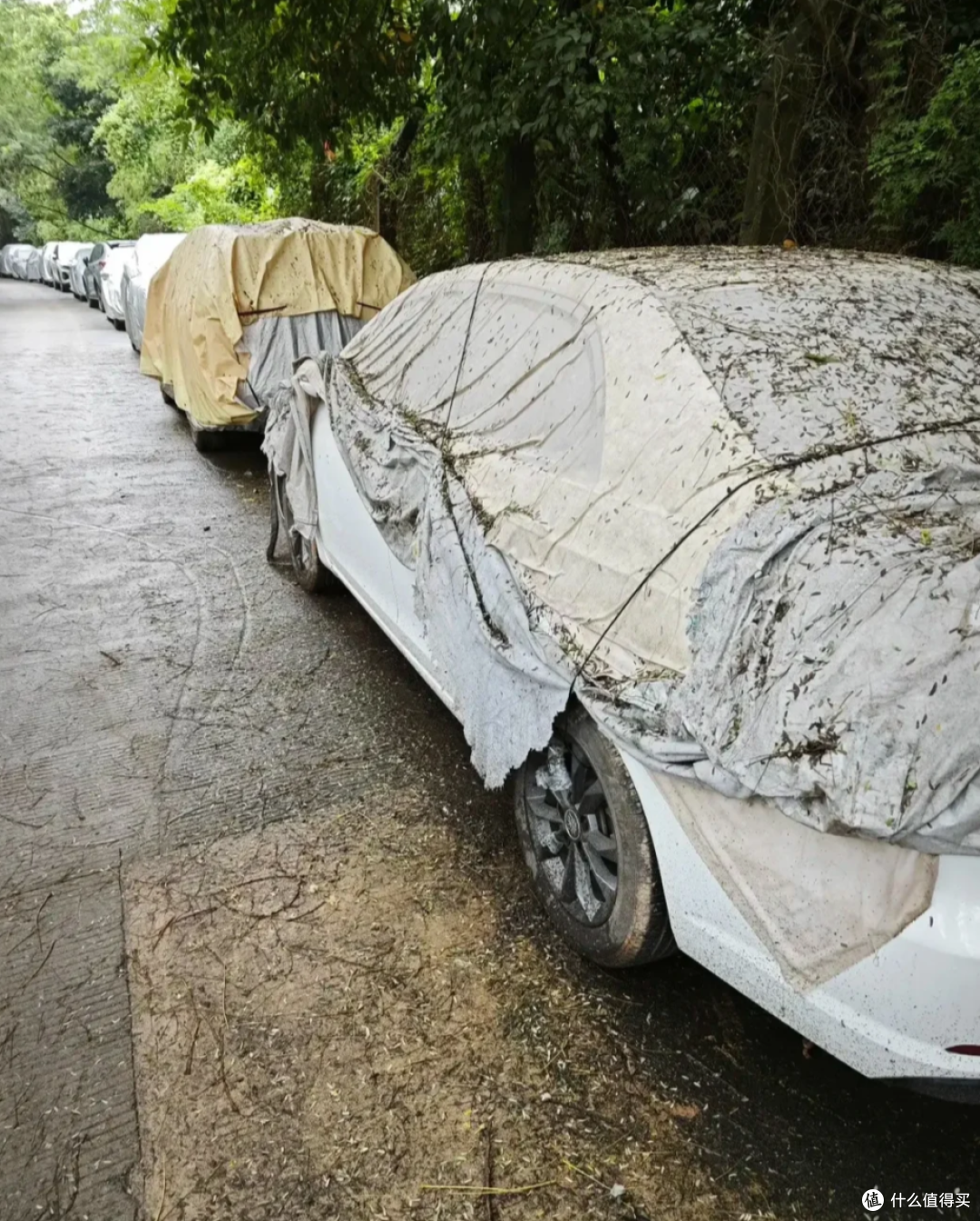发现了没,“汽车”已经成了许多打工人的累赘