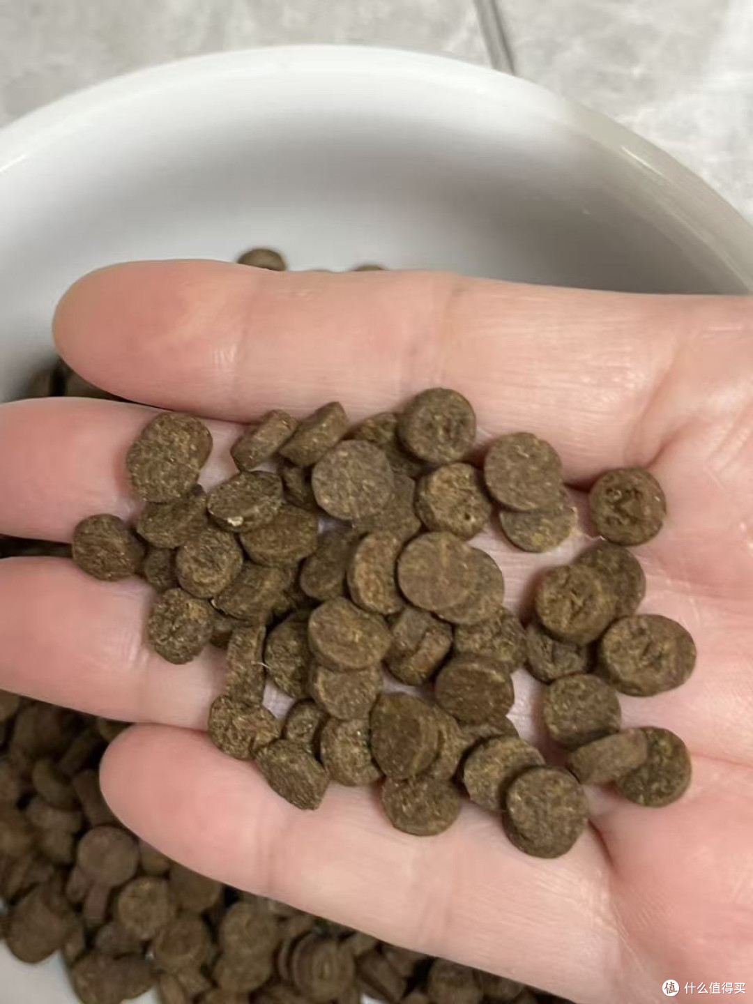 平价良心狗粮推荐，想要性价比高的狗粮就选择这款，狗狗超爱吃