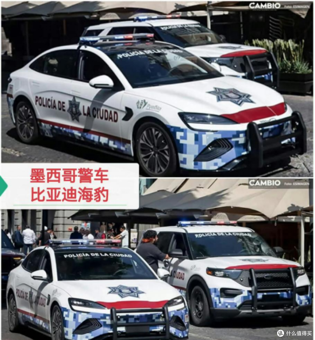 海外公务车“新标配”,中国制造新名片,比亚迪“全球编制”版图