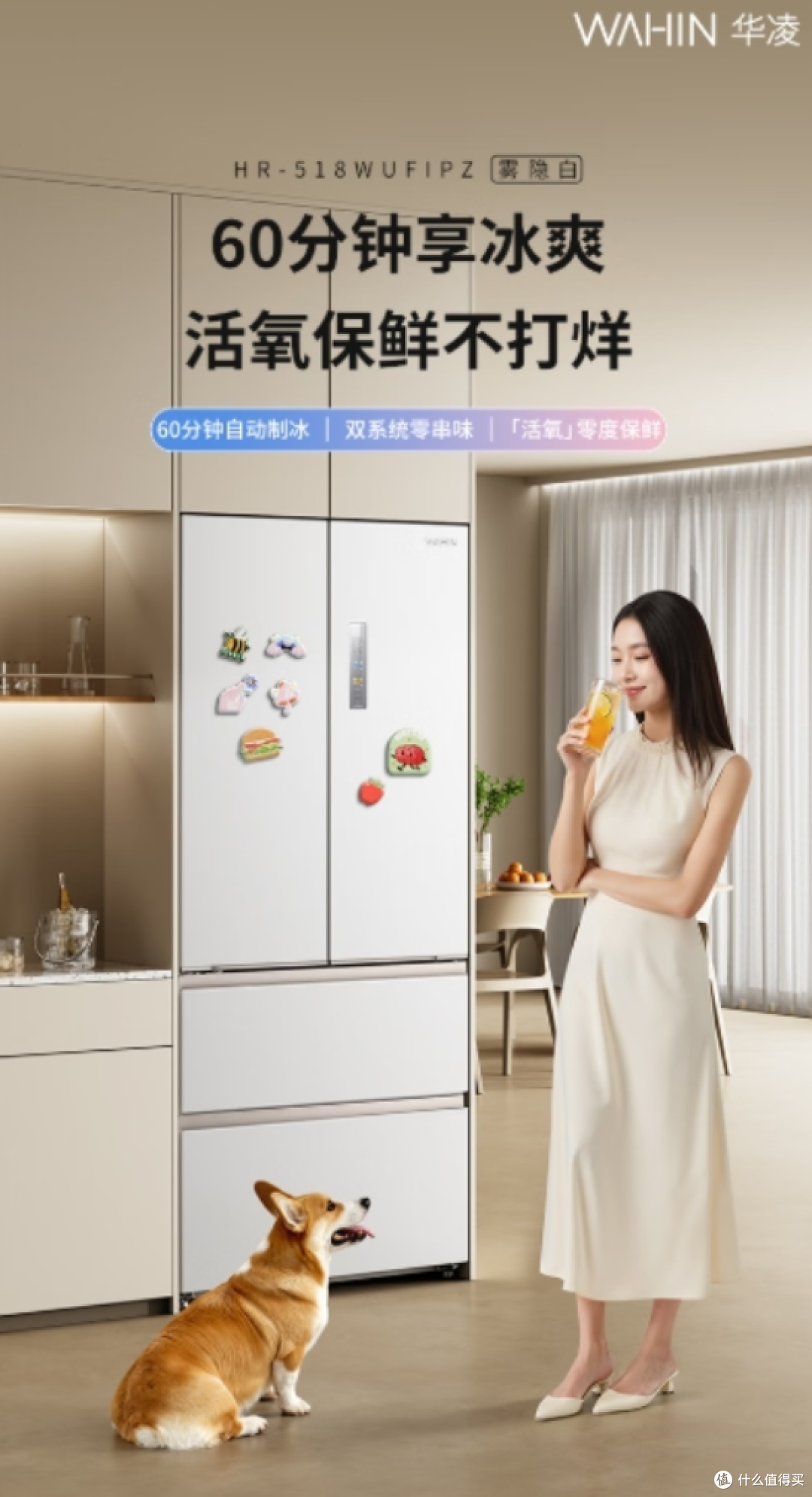 不同价位的家用冰箱推荐,高性价比盲选不踩雷
