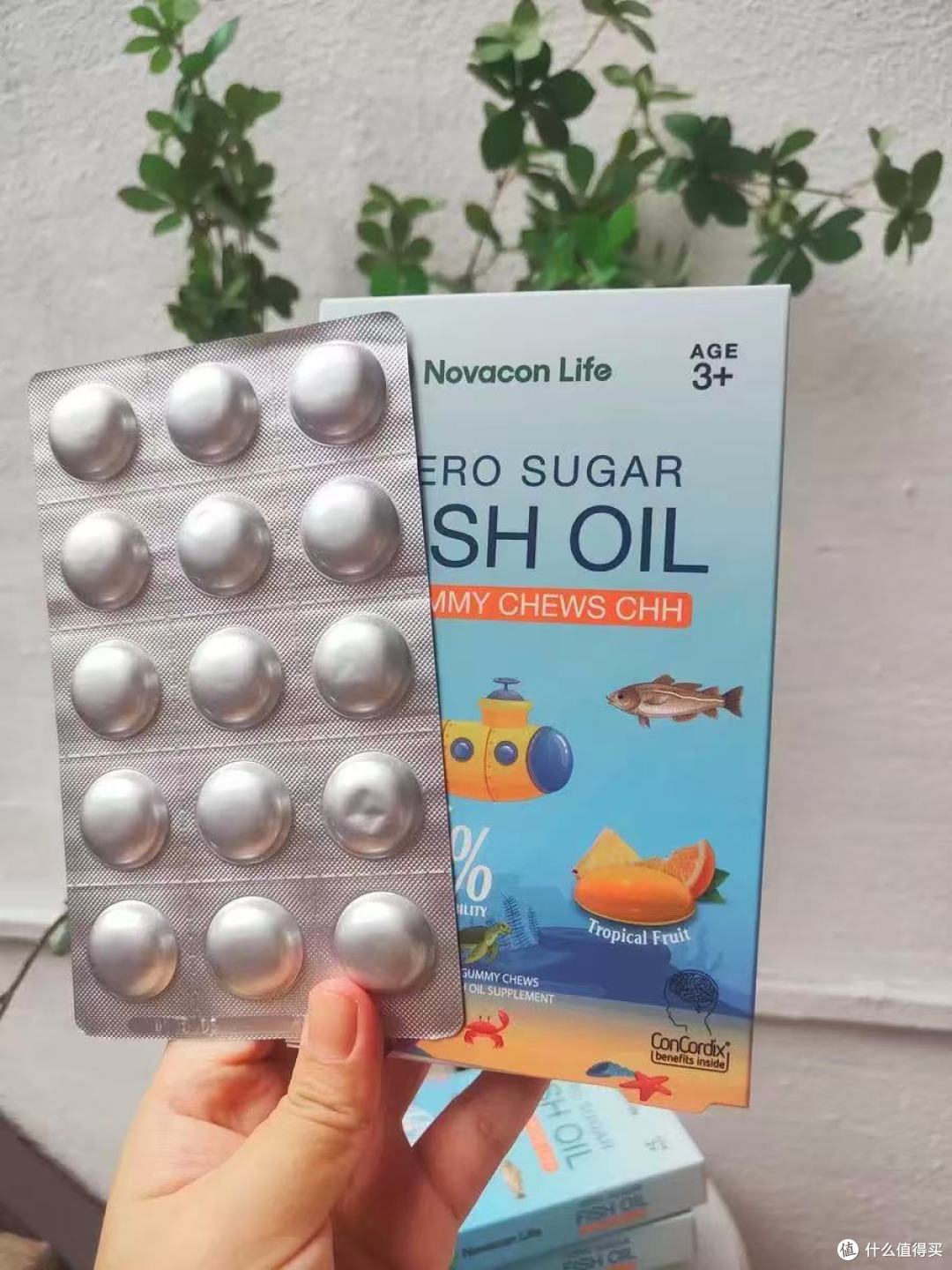 娃记不住知识点?这款鱼油布丁让老师都夸进步快!