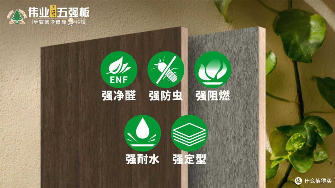 矿物赋能，5维守护！伟业五强板以无机生态胶，颠覆家装安全认知